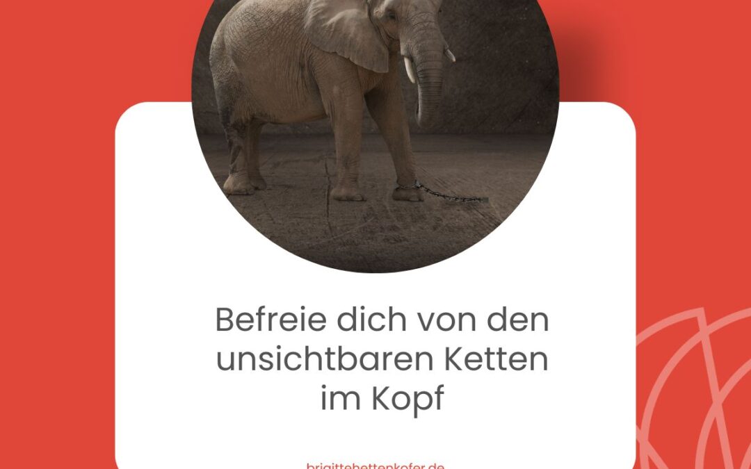 Ein Elefant ist mit einer Kette an einem Bein angekettet. Text: Befreie dich von unsichtbaren Ketten