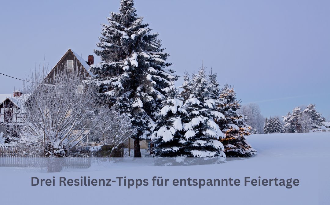 Winterlandschaft mit Schnee, links zwei Häuser, dann ein paar schneebedeckte Tannen und unten der Text: Drei Resilienz-Tipps für entspannte Feiertag