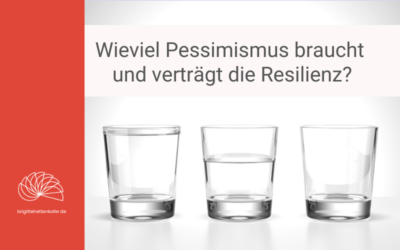 Wieviel Pessimismus braucht und verträgt die Resililienz?