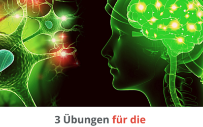 Resilienz Impuls Woche 33 – Aktivieren Sie Ihren Selbstheilungsnerv