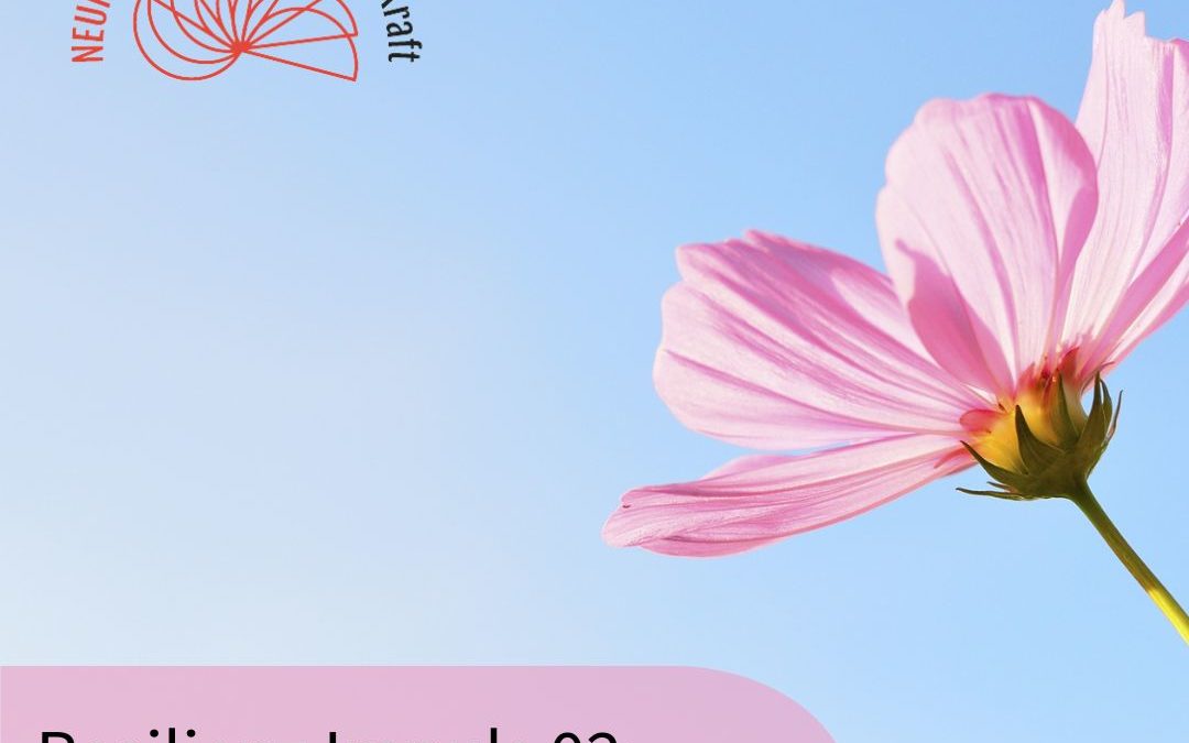 Eine rosa Blüte vor hellblauem Hintergrund. Text: Resilienz Impuls 02: Das Gute wahrnehmen. Links oben das Firmenlogo Neuroresilienz