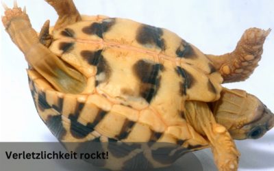 Resilienz Impuls Woche 13: Verletzlichkeit rockt!