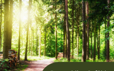 Resilienz Impuls Woche 41: Zufriedenheit fühlt sich einfach gut an!