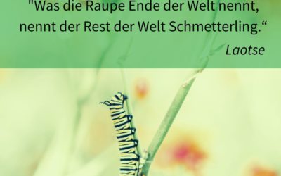Resilienz Impuls Woche 47: Einladung zum Perspektivwechsel